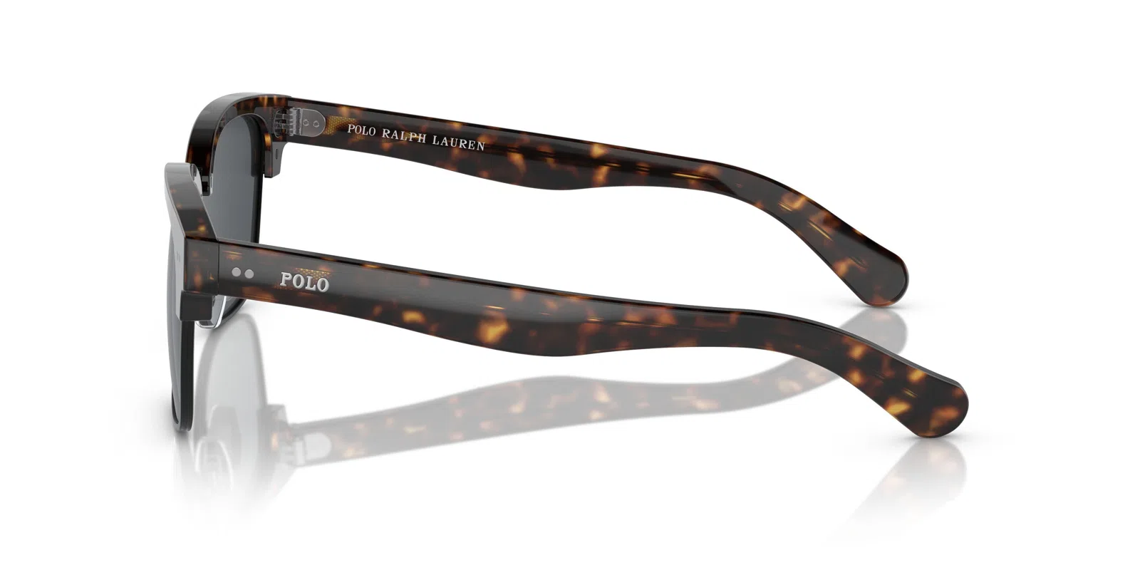 Polo 4202 Sunglasses - view 7